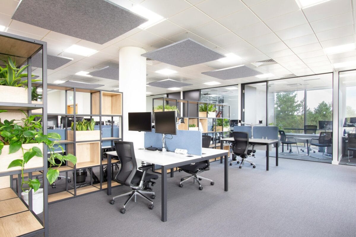 Modern open-plan office with ergonomic chairs, dual monitors, glass walls, and greenery for a fresh feel